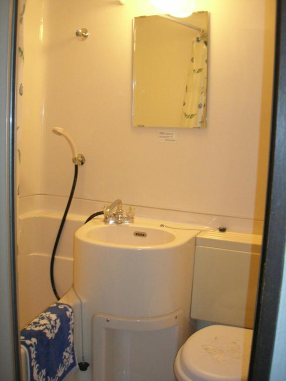 Hotel Weisser Hof Happei Hakuba Room photo